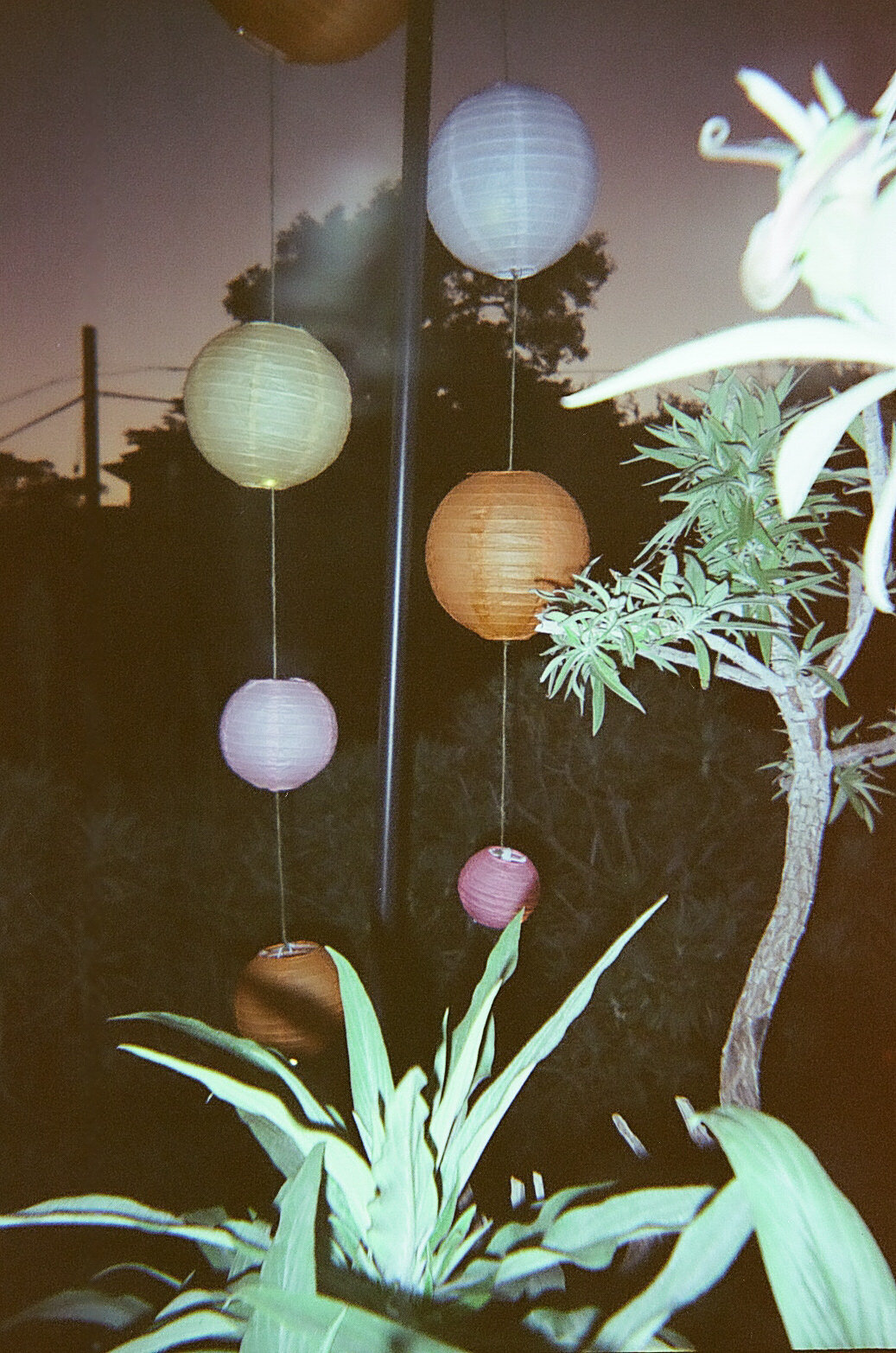 idahophotographer-84000049590011