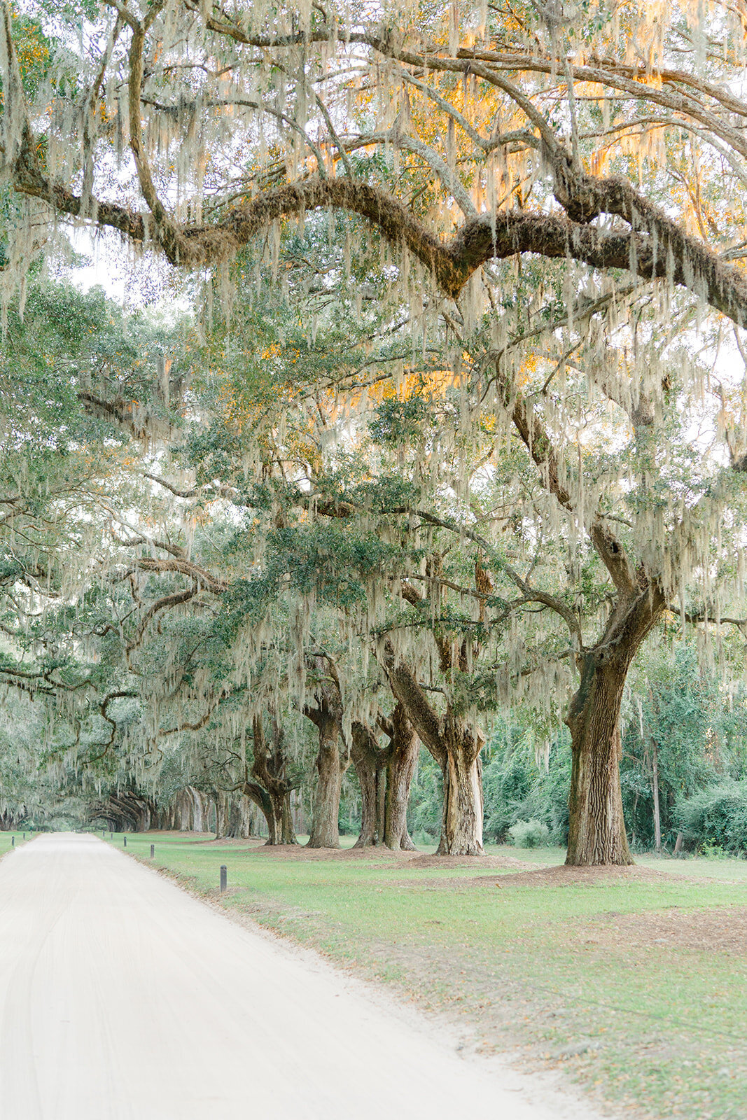 Charleston_Boone_Hall_Wedding__kailee_dimeglio_photography-1030