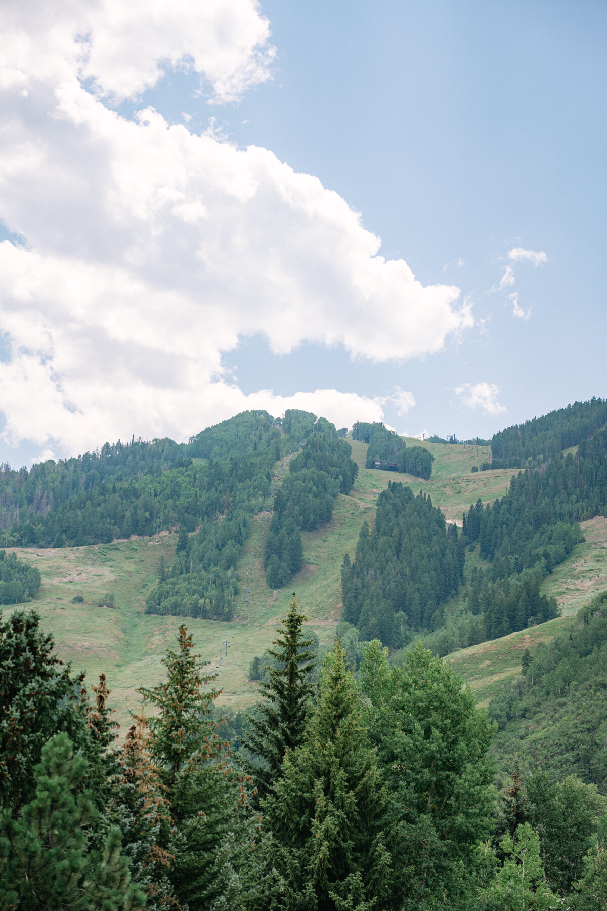 AspenSummerWedding_0003