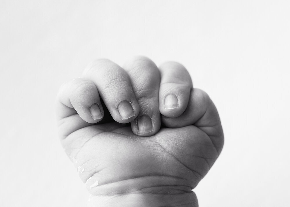 NEWBORN_BABYMACROHANDBABYFINGERS