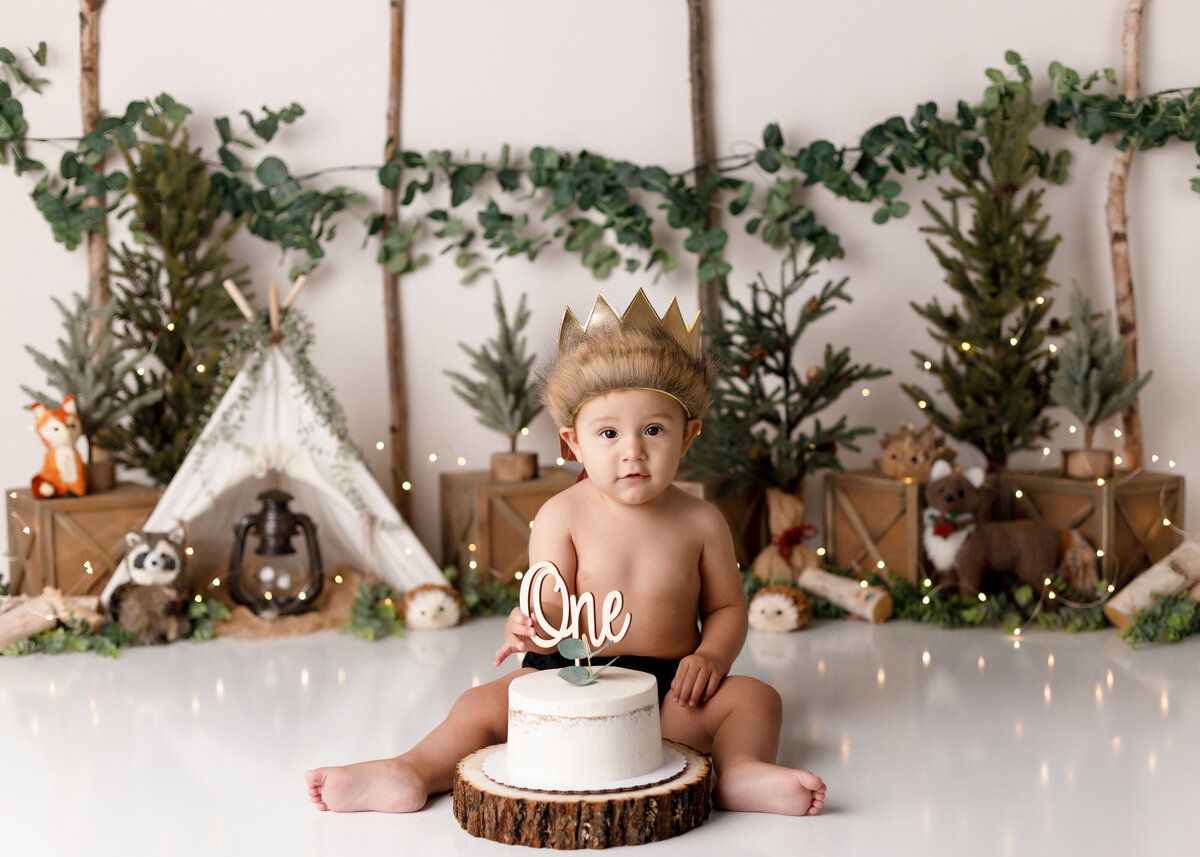 Rustic "Where the Wild Things Are" cake smash. Baby boy is wearing a brown diaper cover and fur-trimmed crown. He is sitting behind a white cake looking at the camera.  In the background are evergreen trees, canvas tent, and woodland animals.