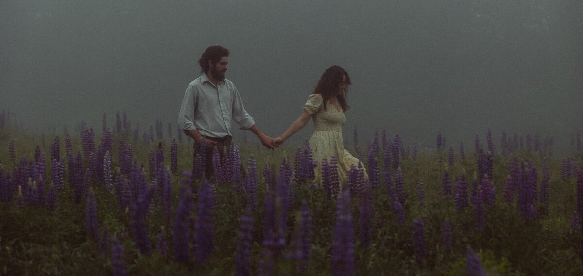 Viewing Lupines in Maine