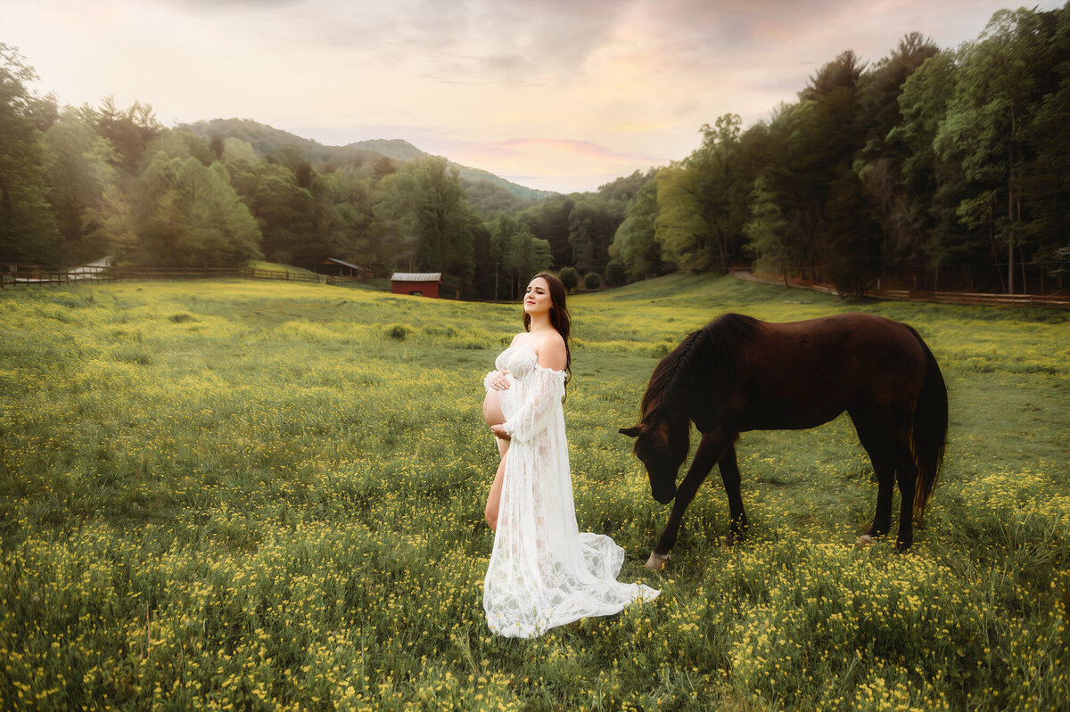 Expectant mother poses for Maternity Portraits with a horse in Asheville. NC.