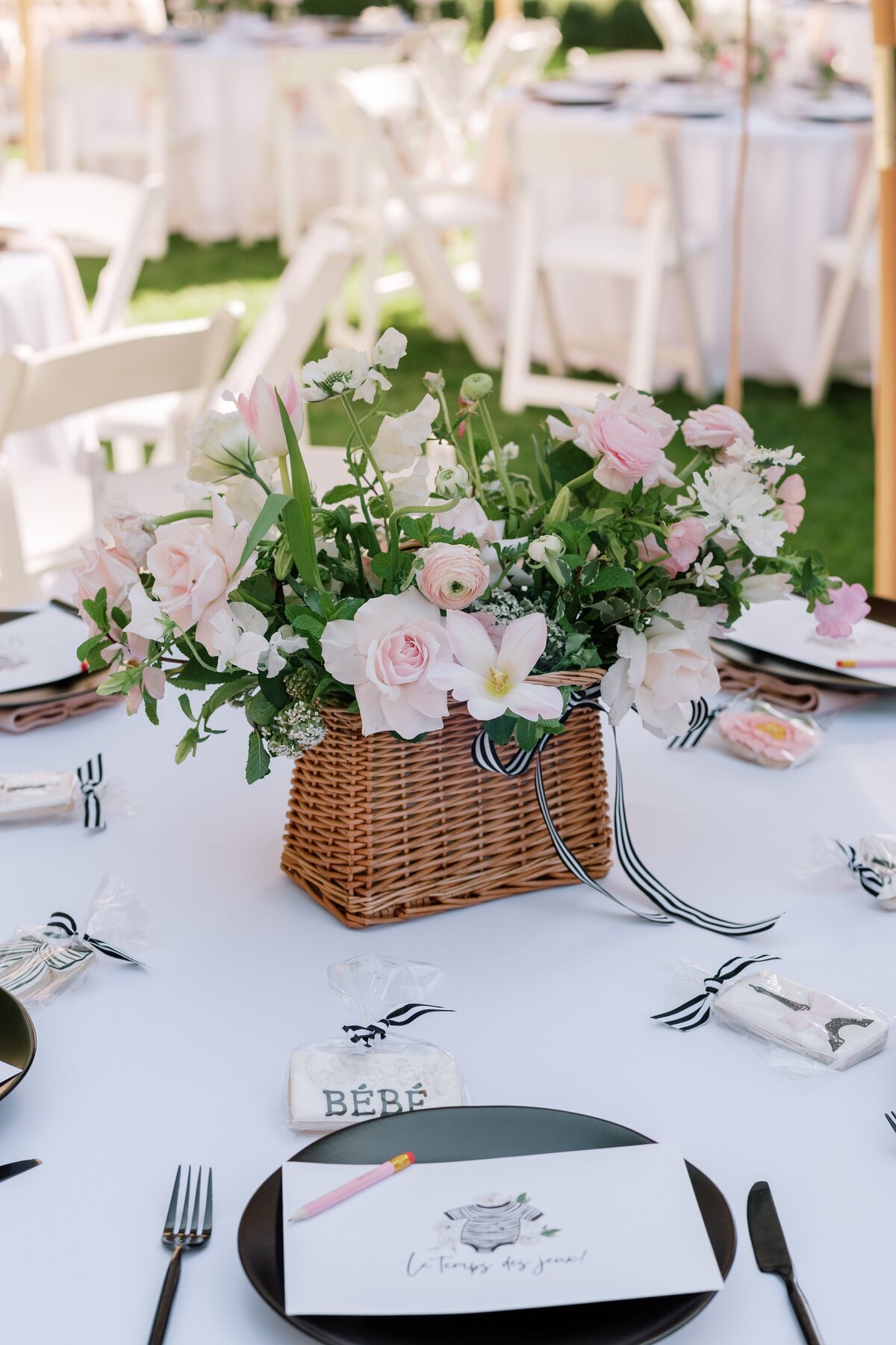 Paris themed baby shower shower
