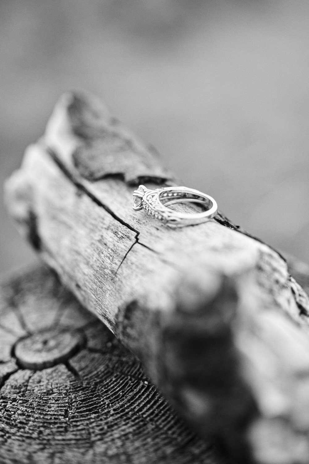 Macro photograph of an engagement ring sitting on a log
