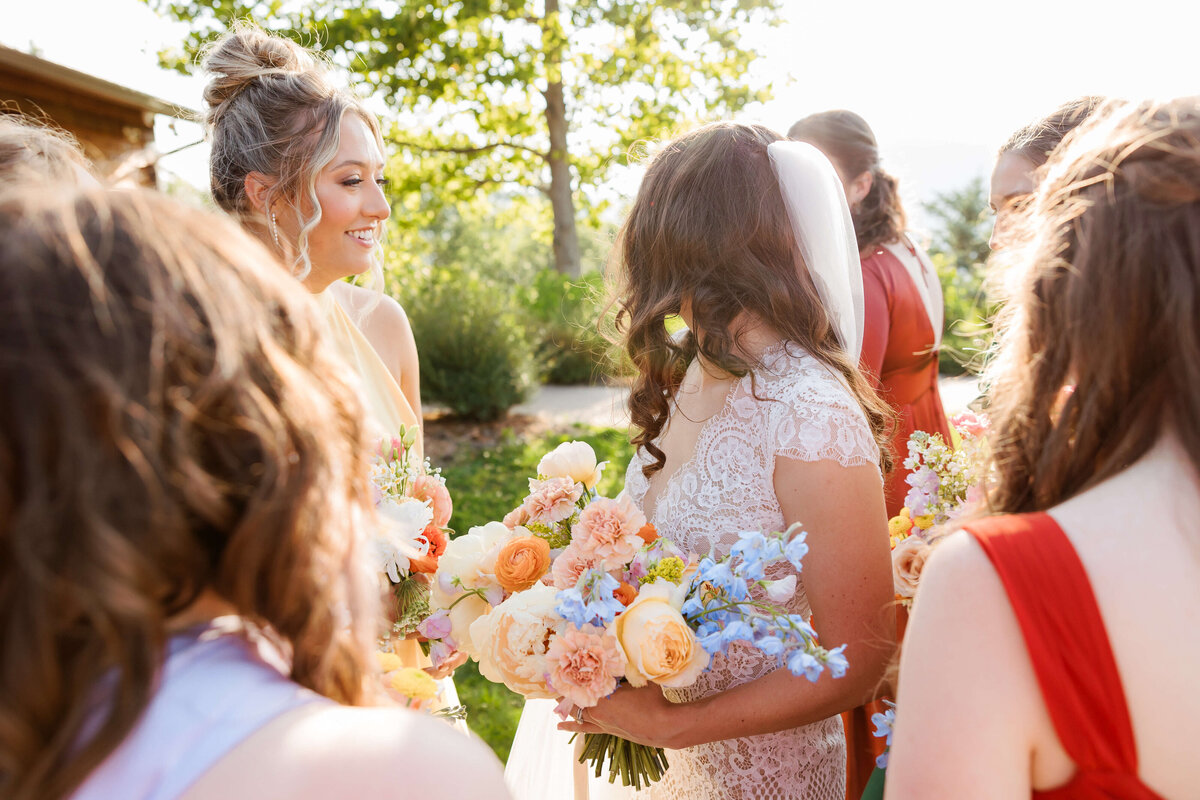 Blue-Ridge-Mountains-Wedding-55