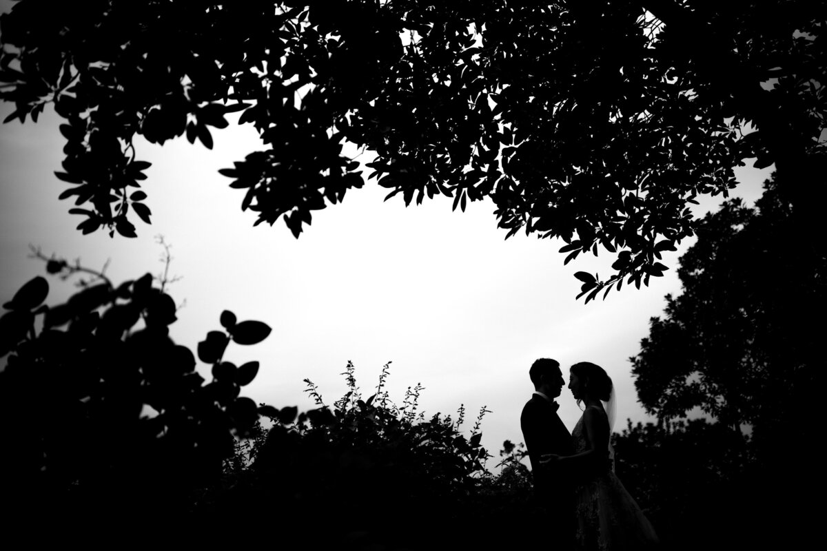 A couple about to kiss as they are surrounded by trees.
