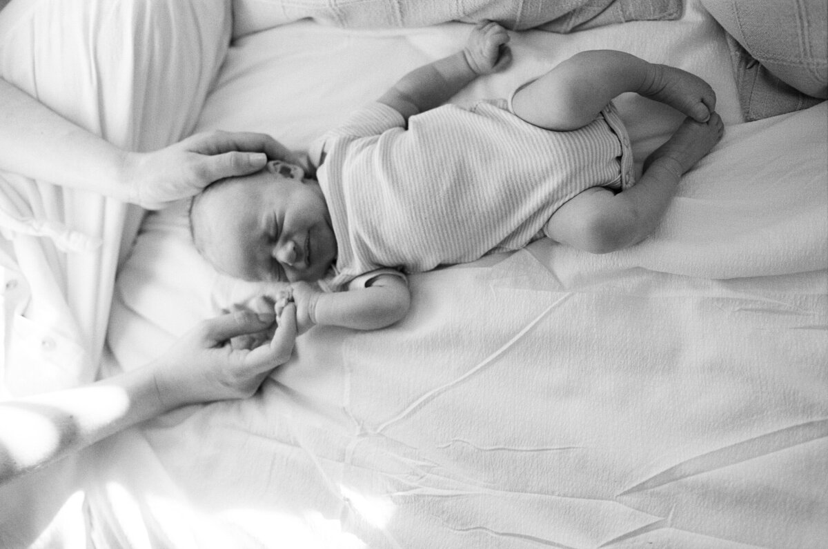 35mm120FILM_Callahan_Nouvel_2025_61