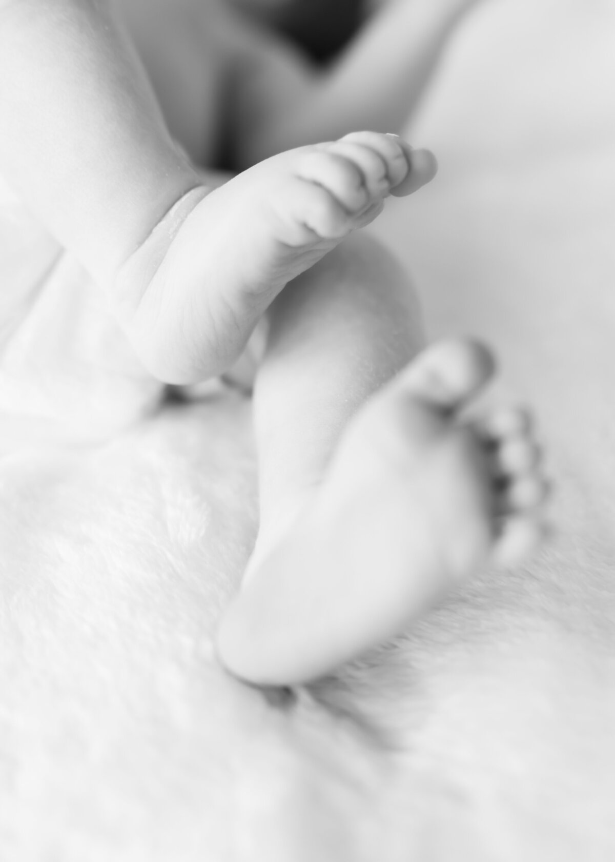 Gemma-minneapolis-newborn-photography-9