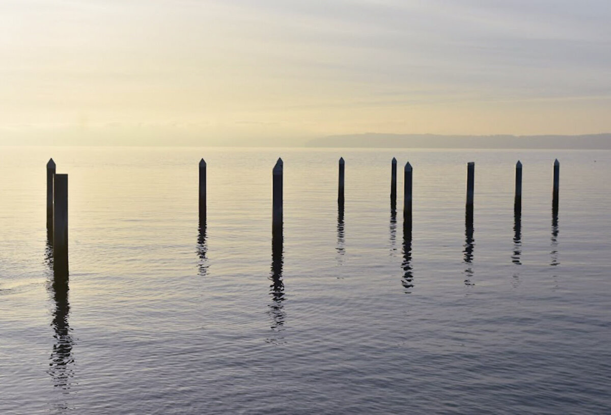 pole reflections