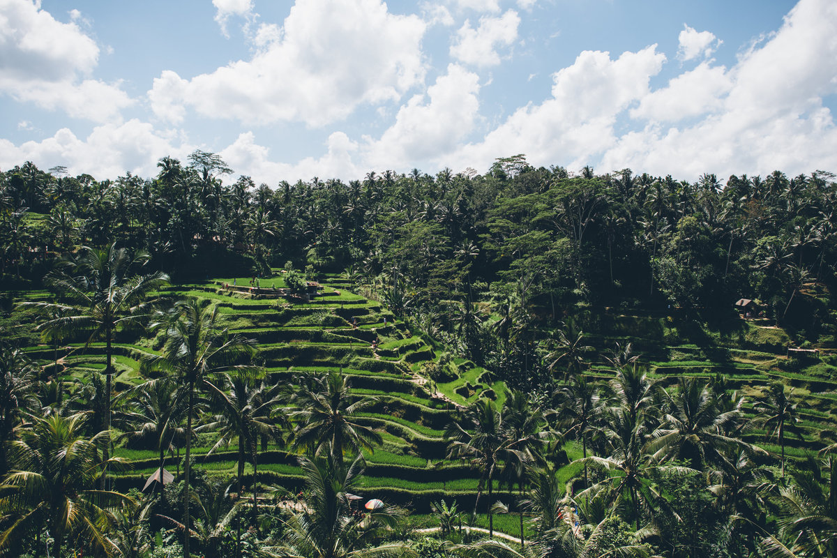 Bali6