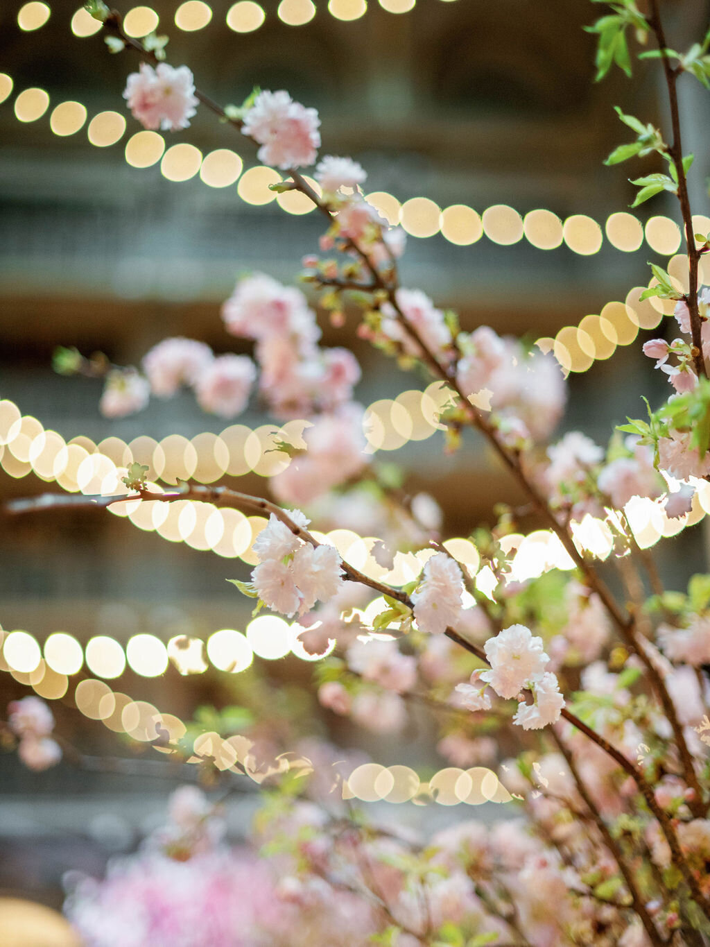 Rio&Nick-Wedding-34