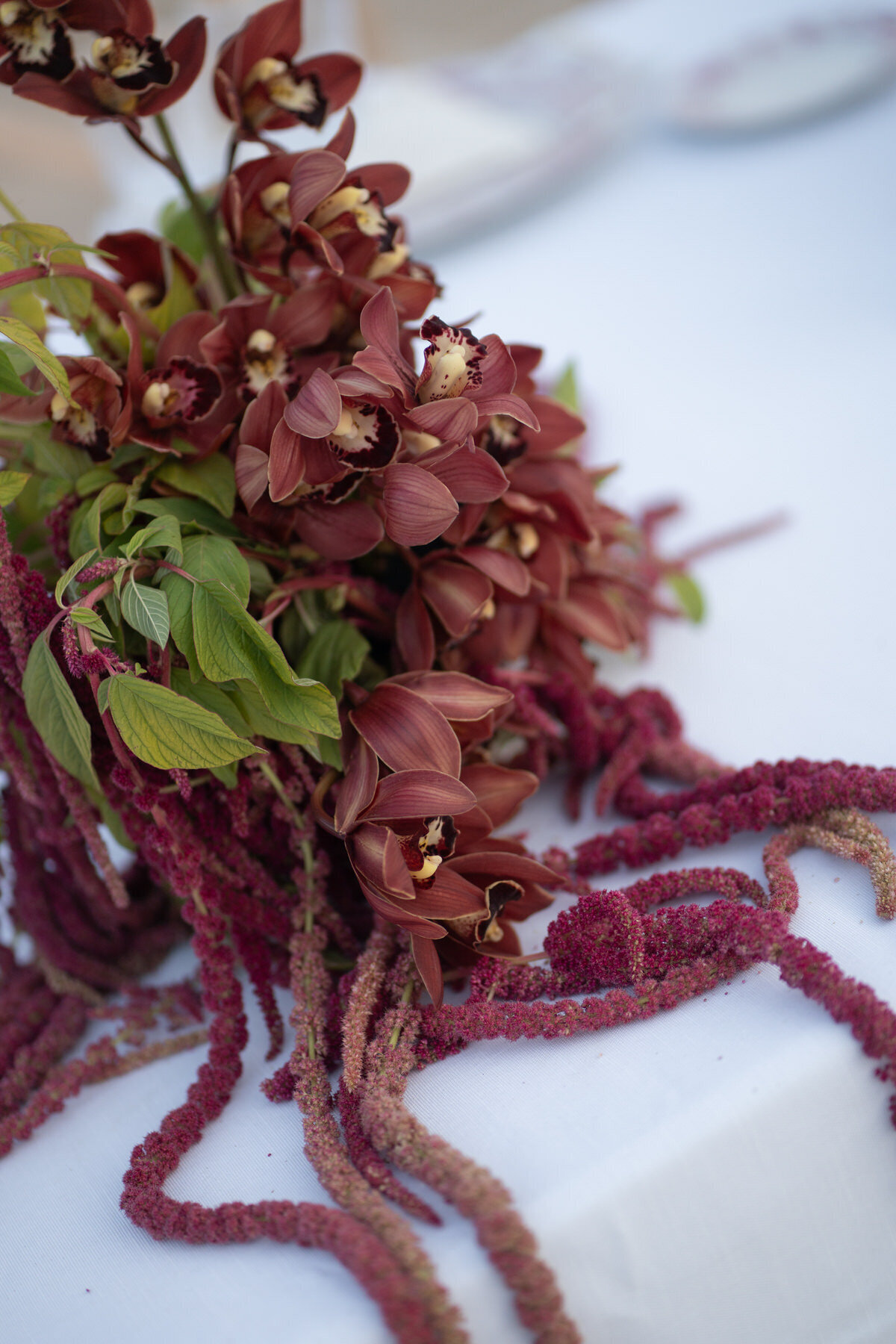 69 - Jesse and Spencer x klassen weddings x Masseria Borgo Ritella_0954