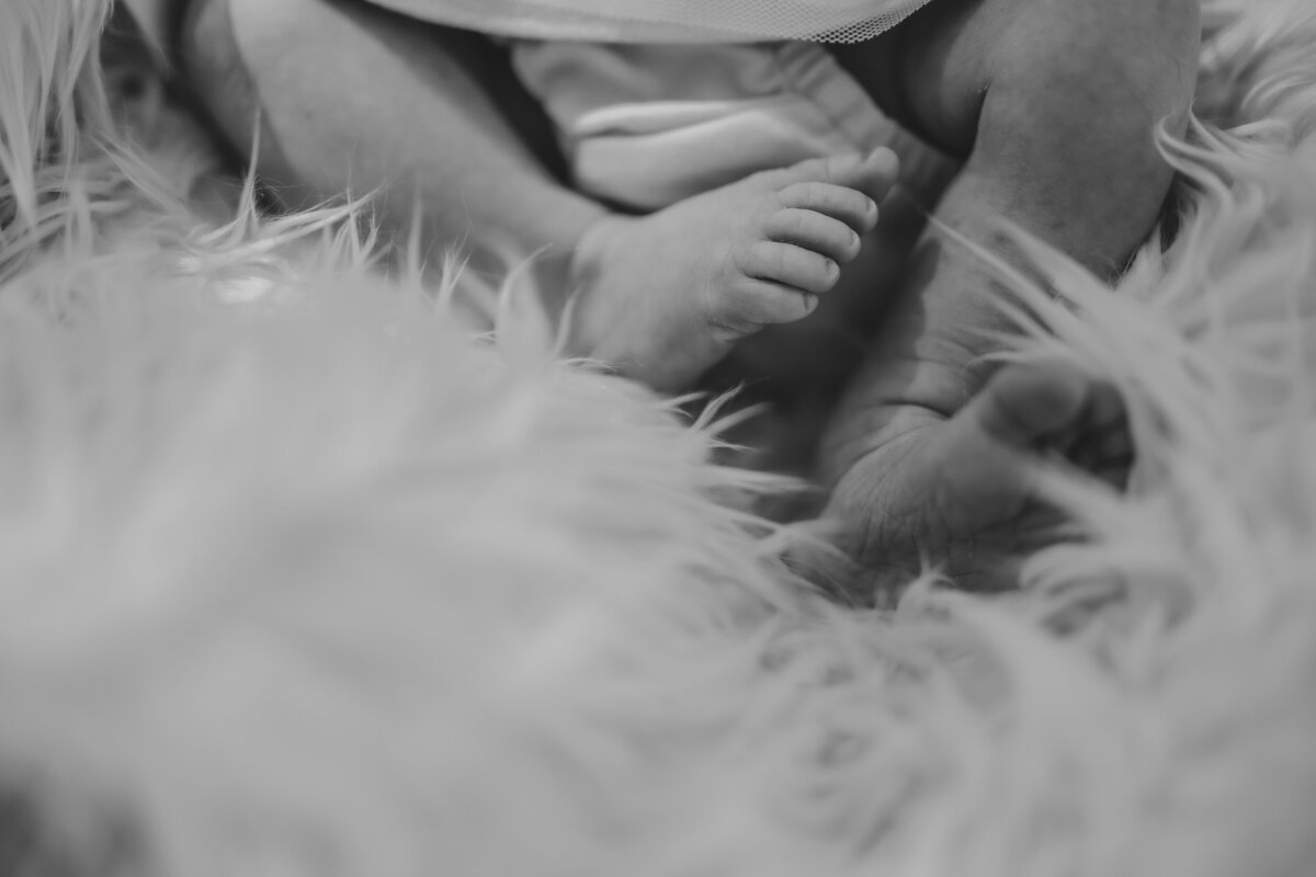 Savanna Raine Full SIze-12