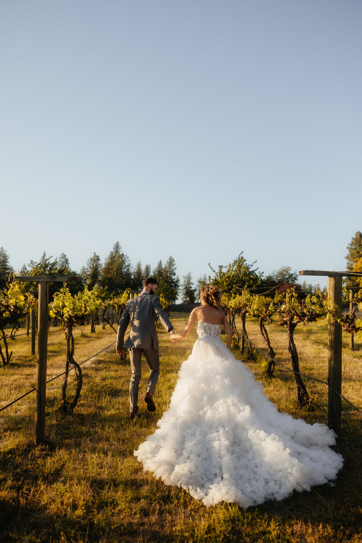 vineyard wedding photos