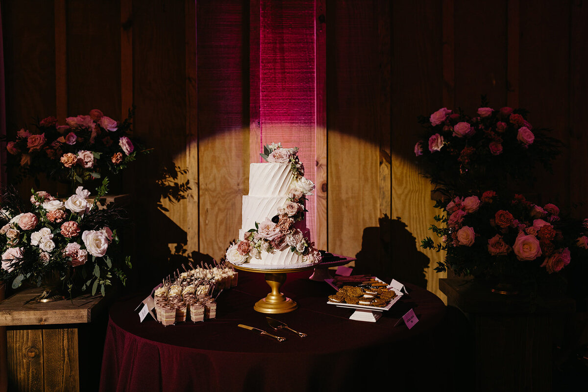 Meghan_Caeleb_Wedding_Wearethebowsers-351