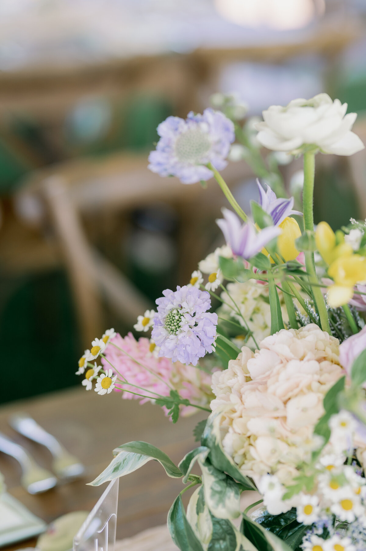 EndearingEvents_WeddingShower_LakeClub_Youngstown-46