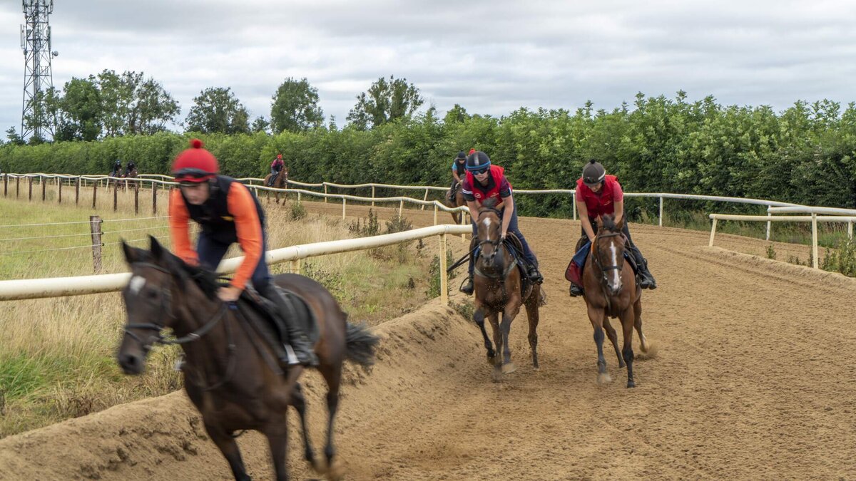 Jessica Harringtons Yard, Racehorse Training, Co Kildare_Web Size