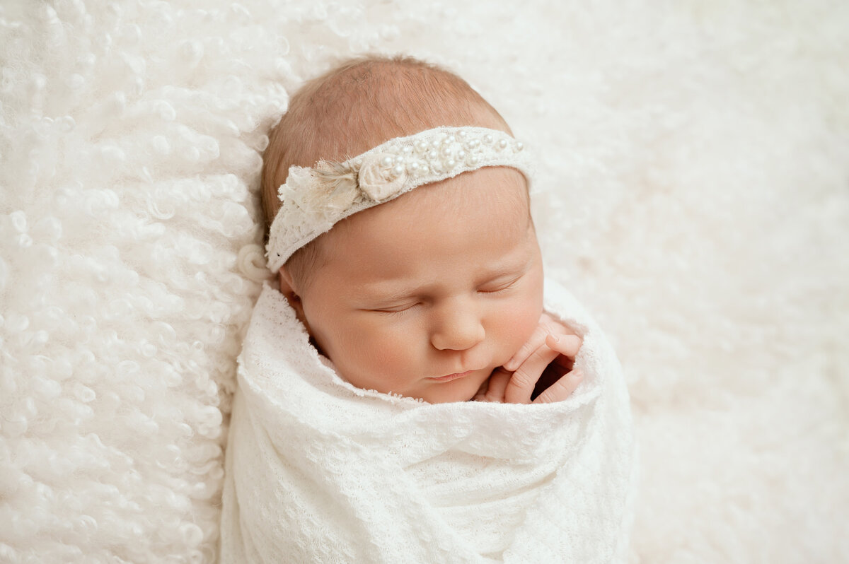 Central Minnesota Newborn Photographer -  Nicole Hollenkamp - Princeton MN St Cloud MN-4539