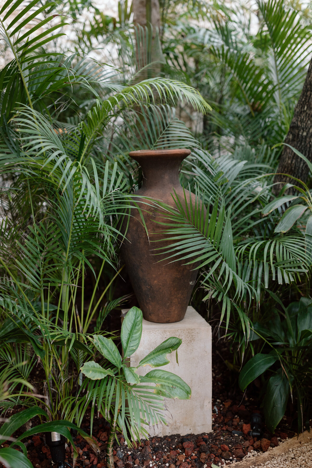 Mexico Elopement-16