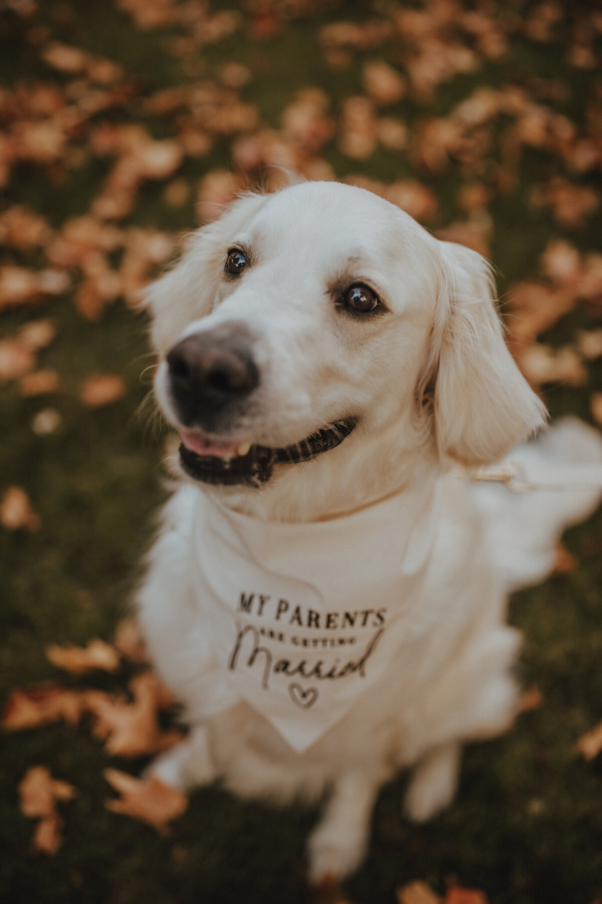 BAP25-CayciJacob-Engagement-133