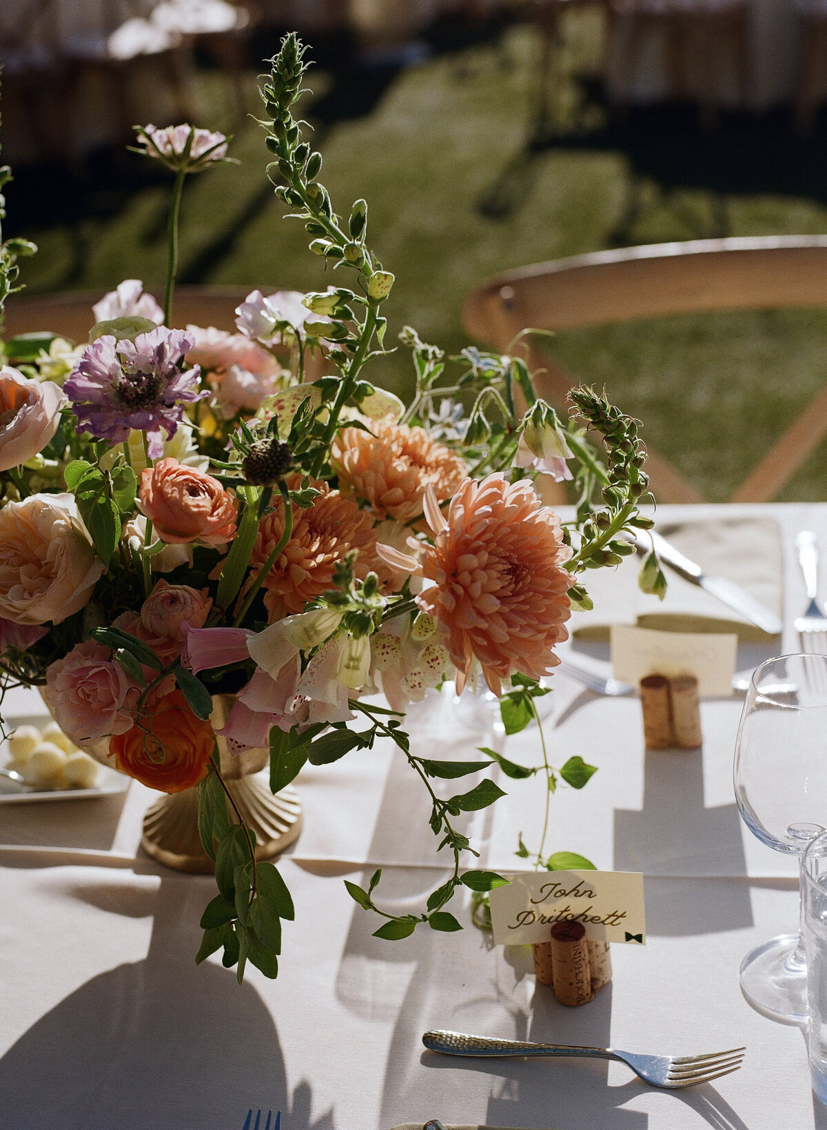 tori-dermott-186 (1)