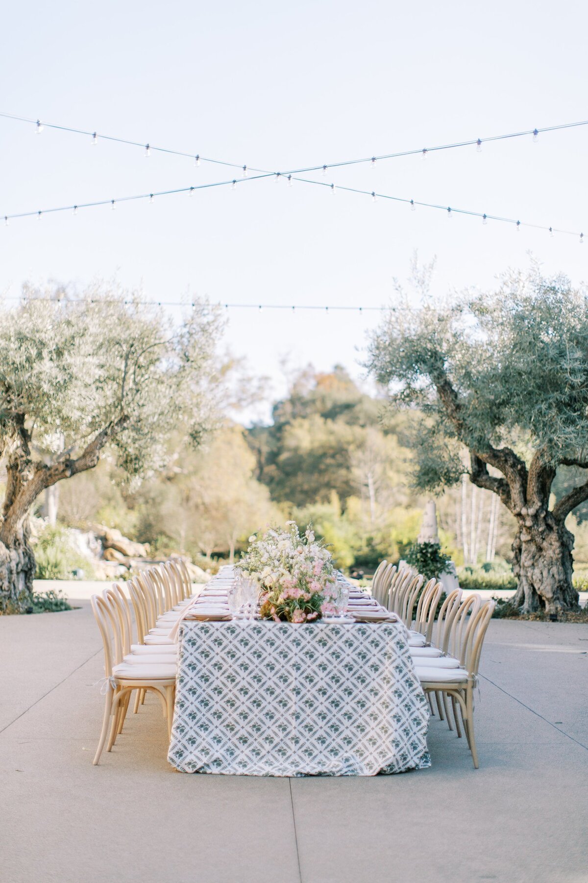 Alex-Collier-Design-Showit-Template-for-Wedding-Pros-220