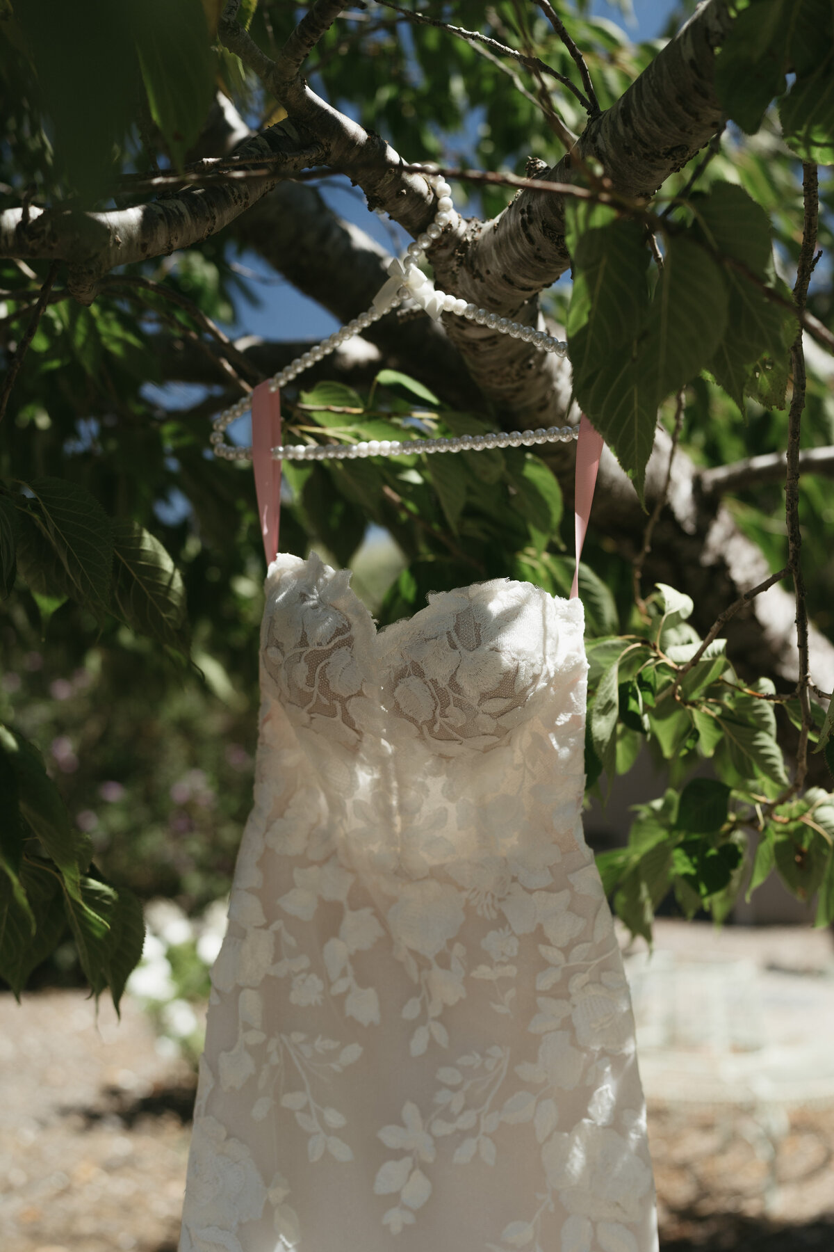 Intimate Wine Country Wedding in Sonoma, California