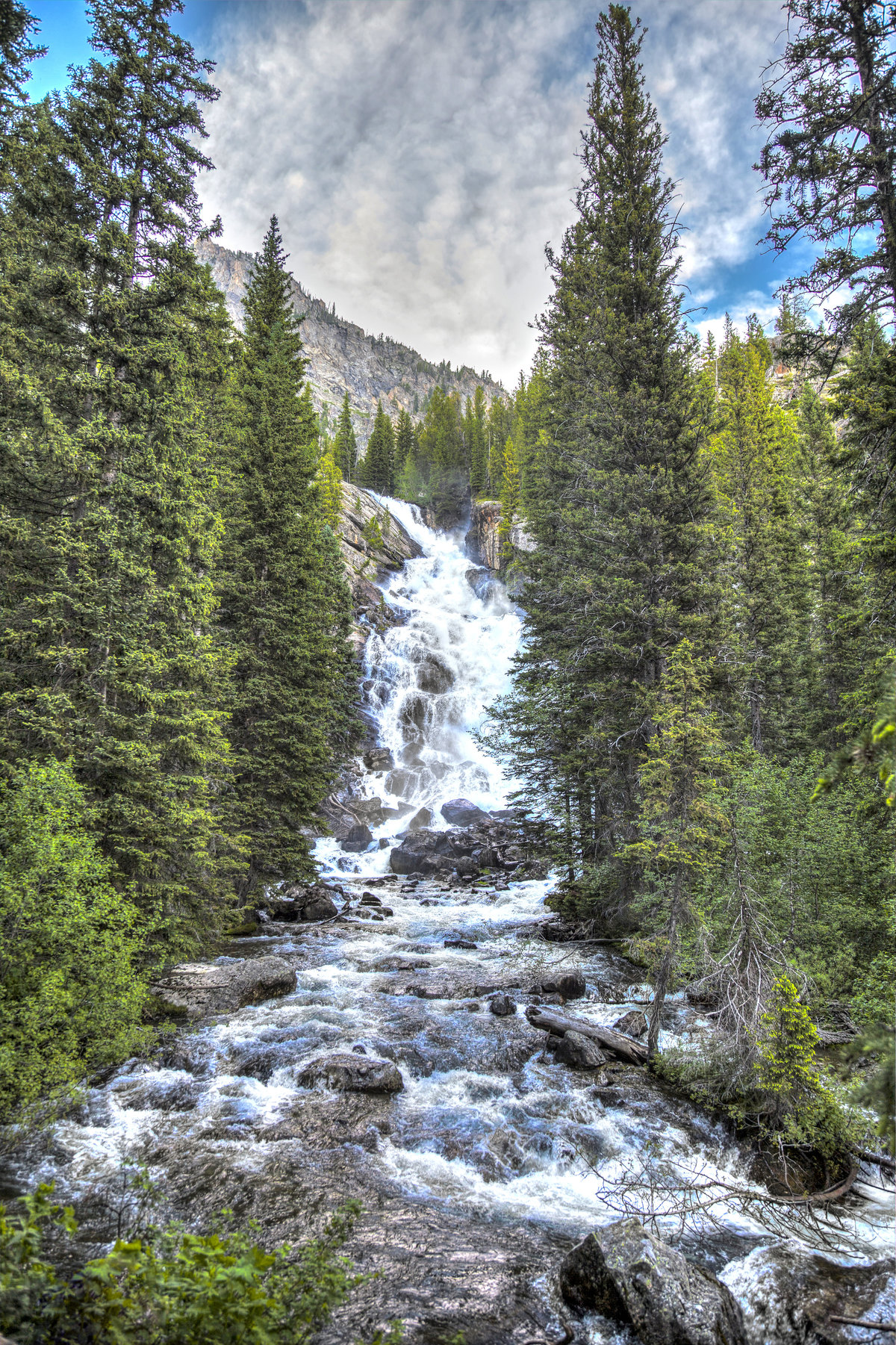 Grand Teton NP 2015_MG_4645