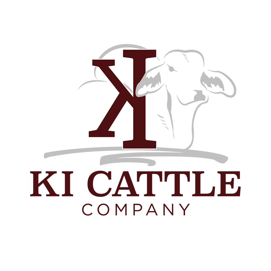 KI Cattle