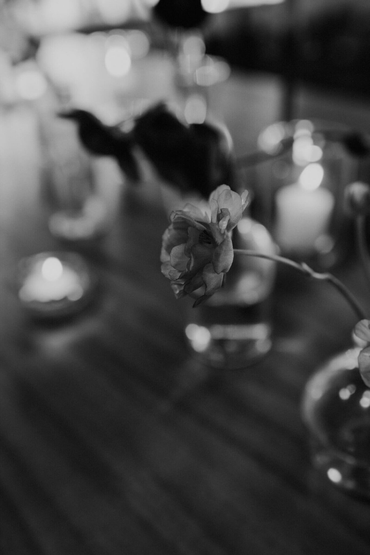 STEPHEN   MARGOT WEDDING IN SAN MIGUEL DE ALLENDE - ANNA SAUZA PHOTOGRAPHY (15)