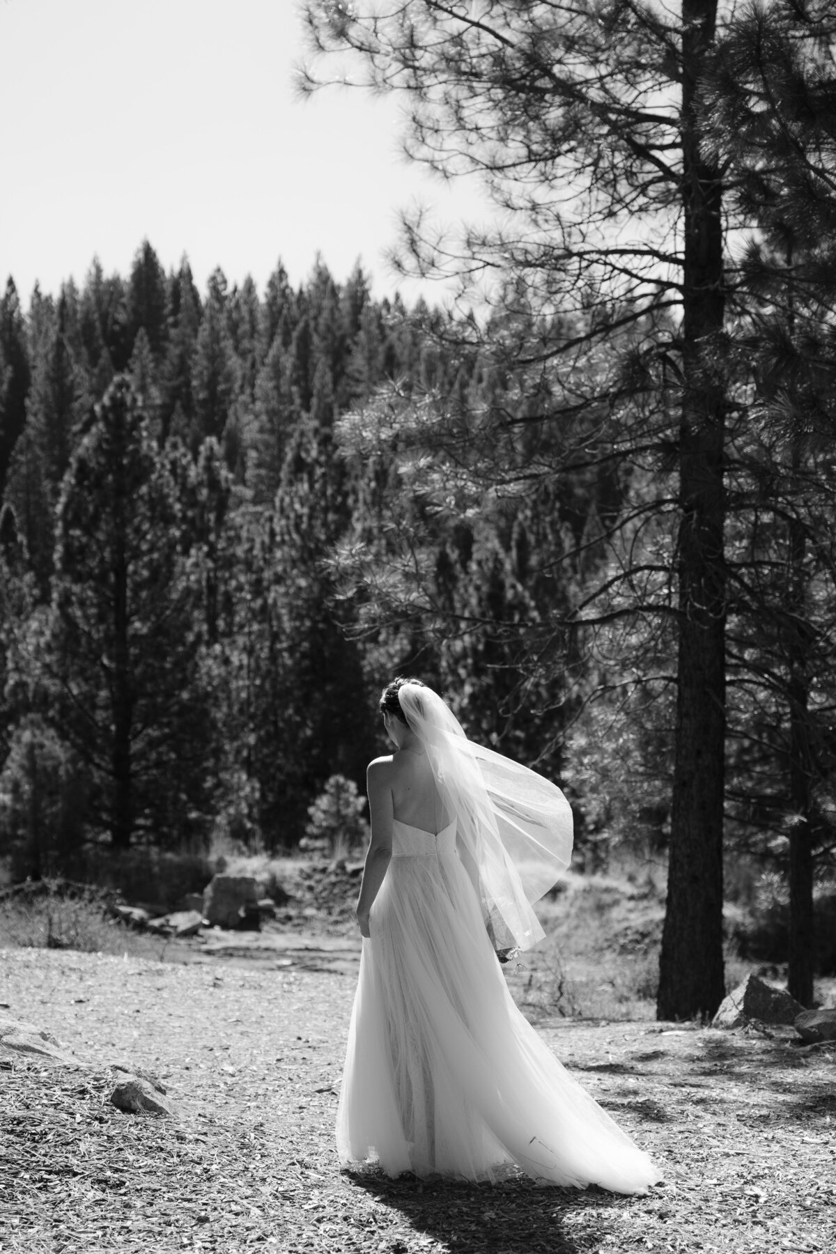 jacqueophotography_PortolaWedding-05768