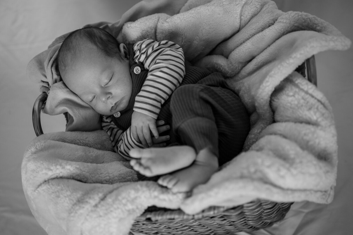 indiana_family_photographer_evie_jill_photography_jpg10
