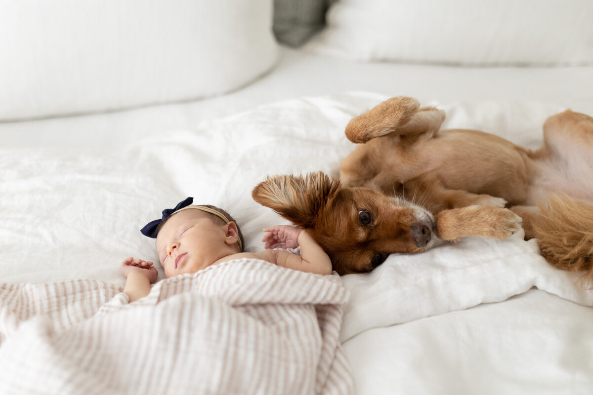 Baby-Photographer-San-Luis-Obispo010