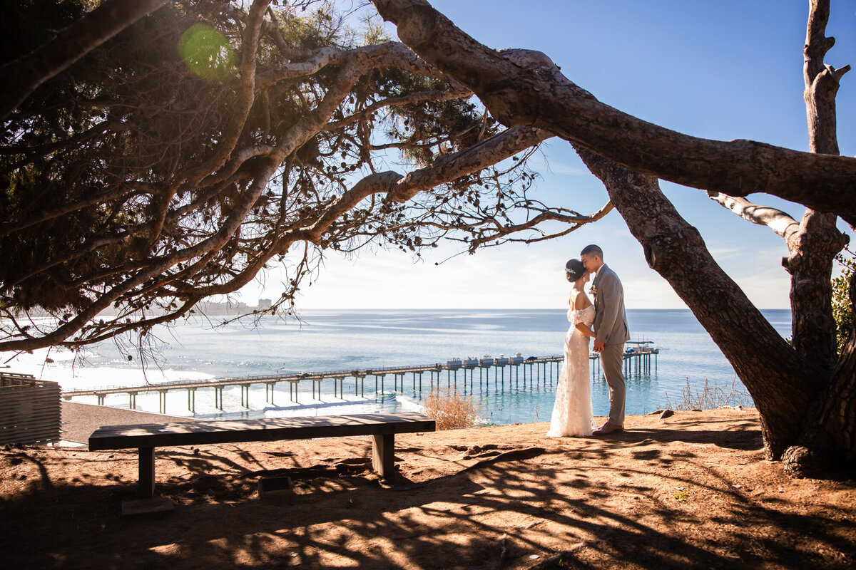 Stella + Nathan - Martin Johnson House La Jolla - San Diego Wedding Photographer-14
