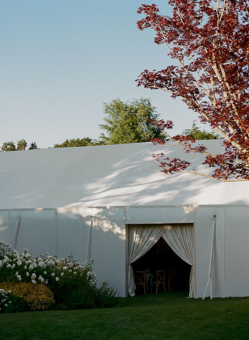 wedding-artists-co-dani-toscano-photographer24