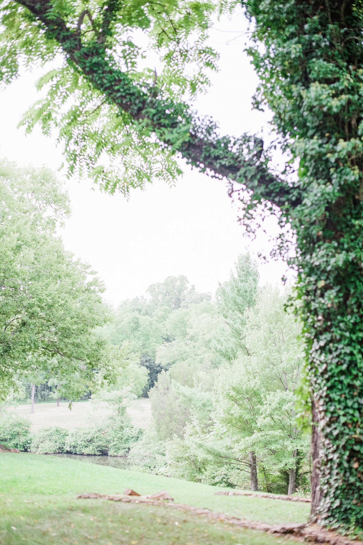 The Hill Studios Poplar Springs-52