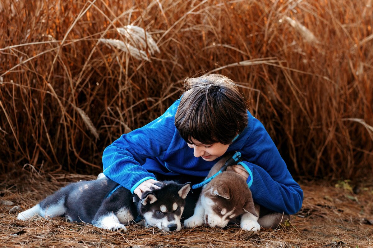 Child with husky puppies McKennaPattersonPhotography