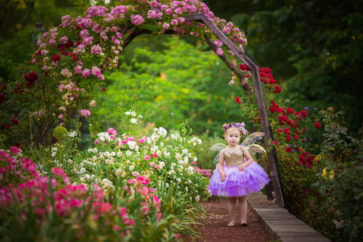 toddler fluffy dress and wings fairy with roses