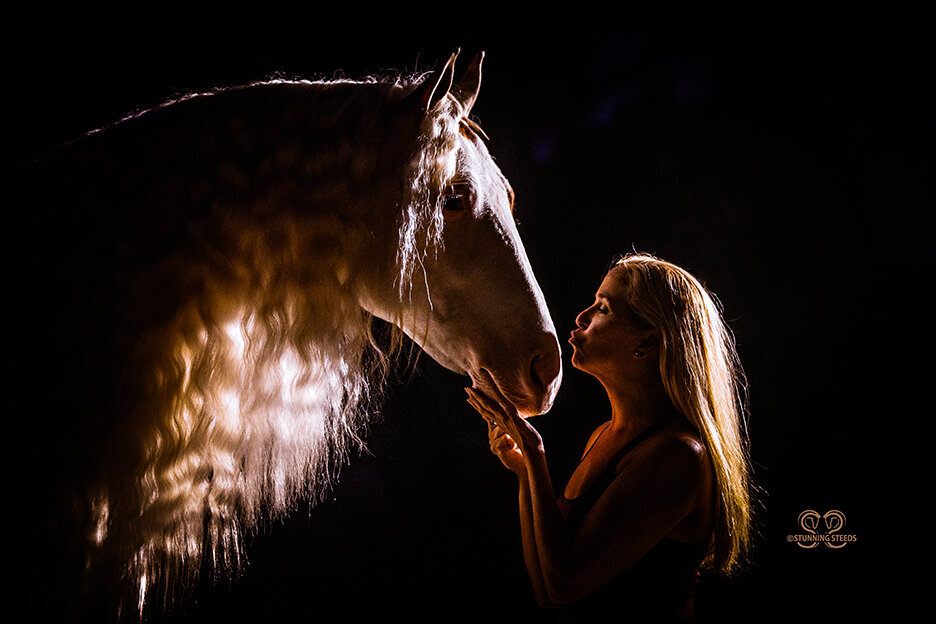gypsy vanner horse photographer