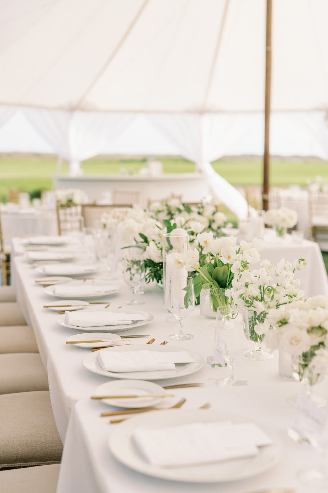 Charleston Carolina Weddings | Carolina Occasions 102