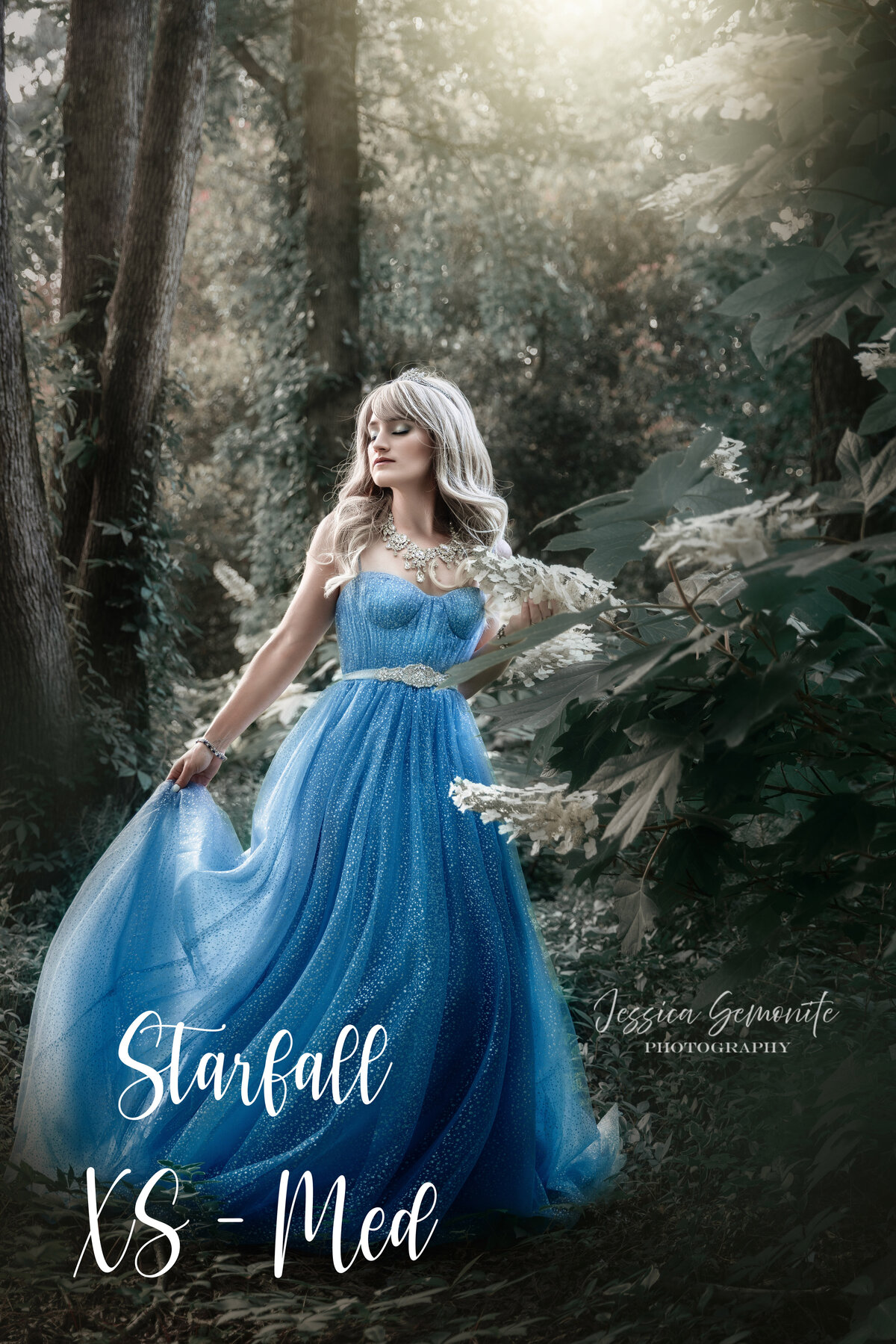 6O9A2089_EditA_Starfall