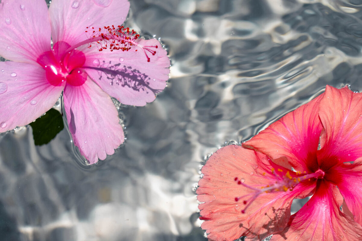 SM-WarmTropics-02932