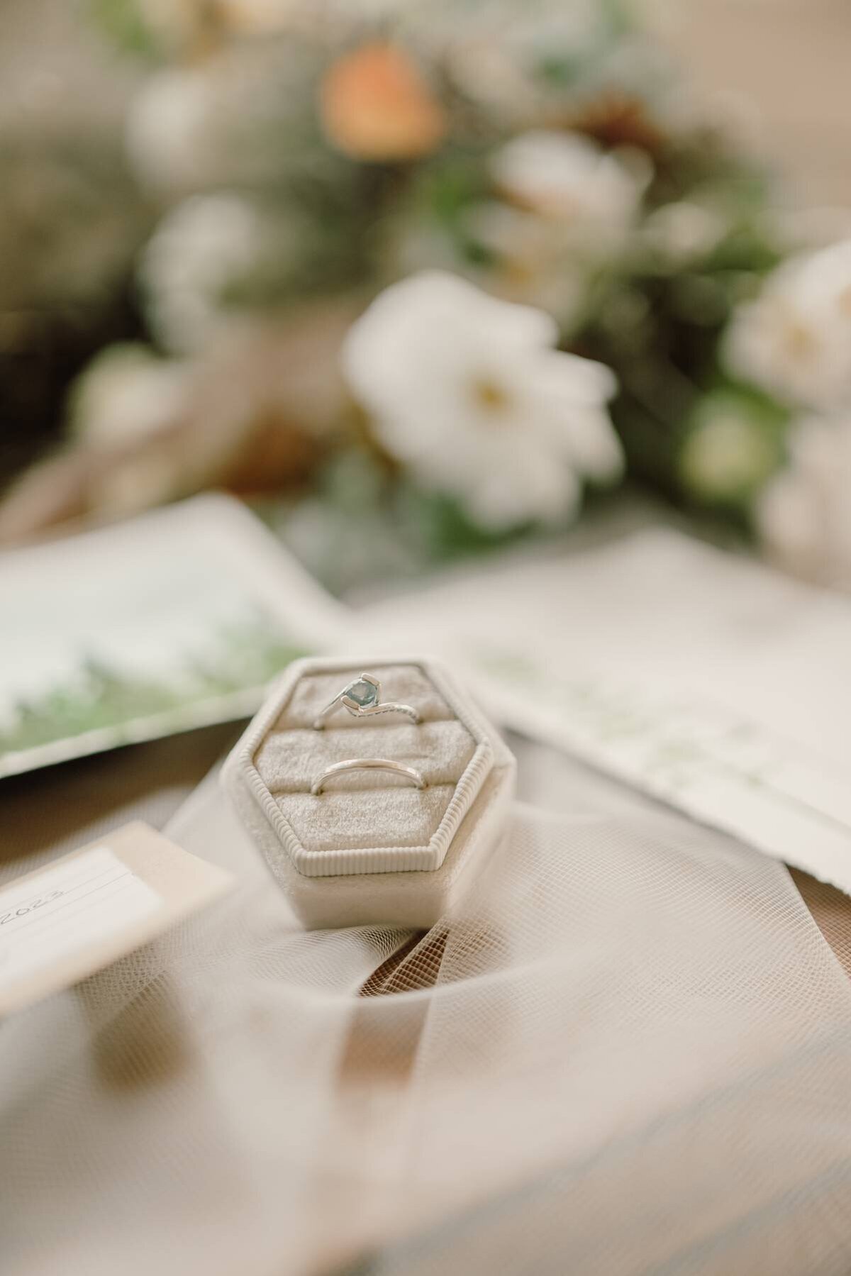 Patagonia Cabin 10.14.23-7