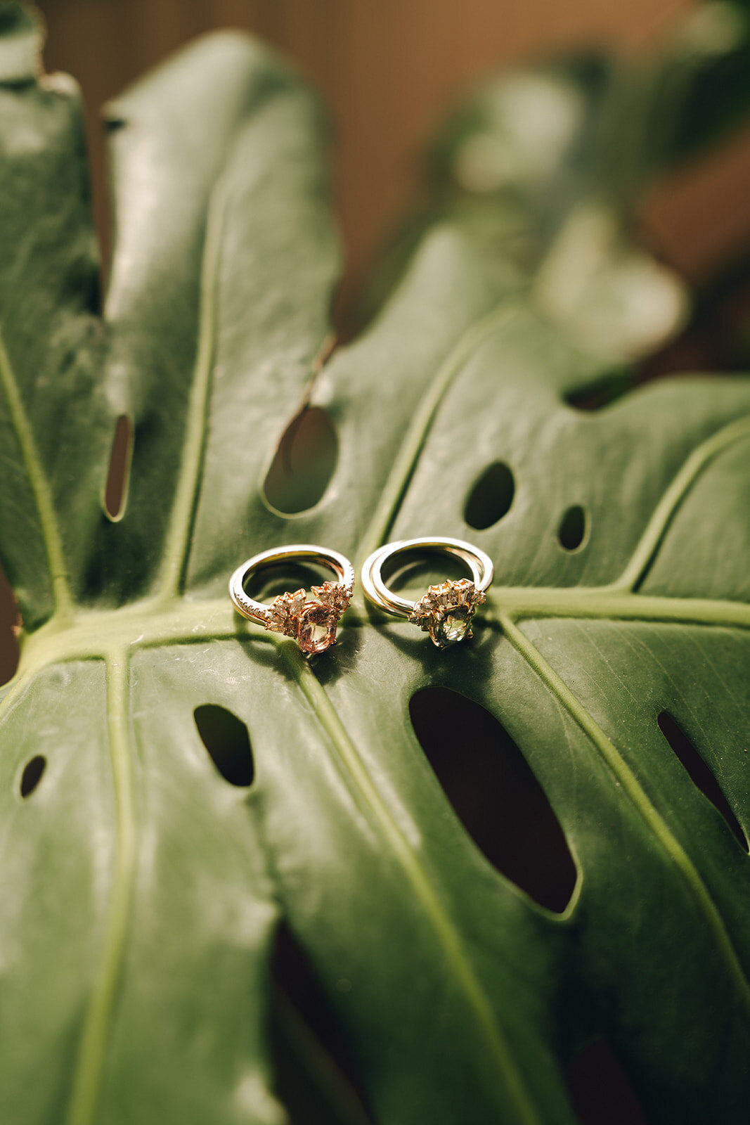 tennessee-elopement-photographer-112