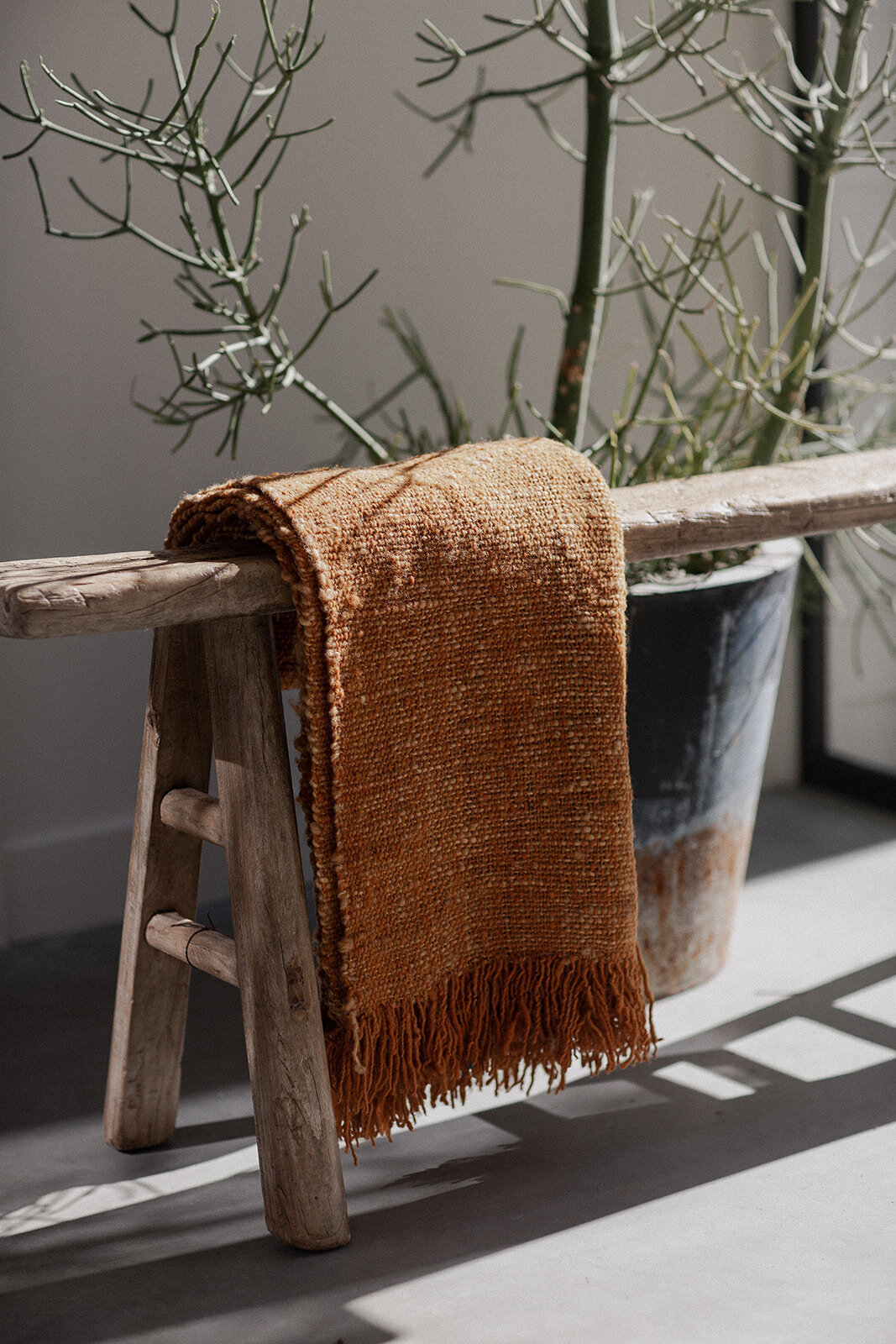 Treko_chilaen_wool_healdsburg_photo-46