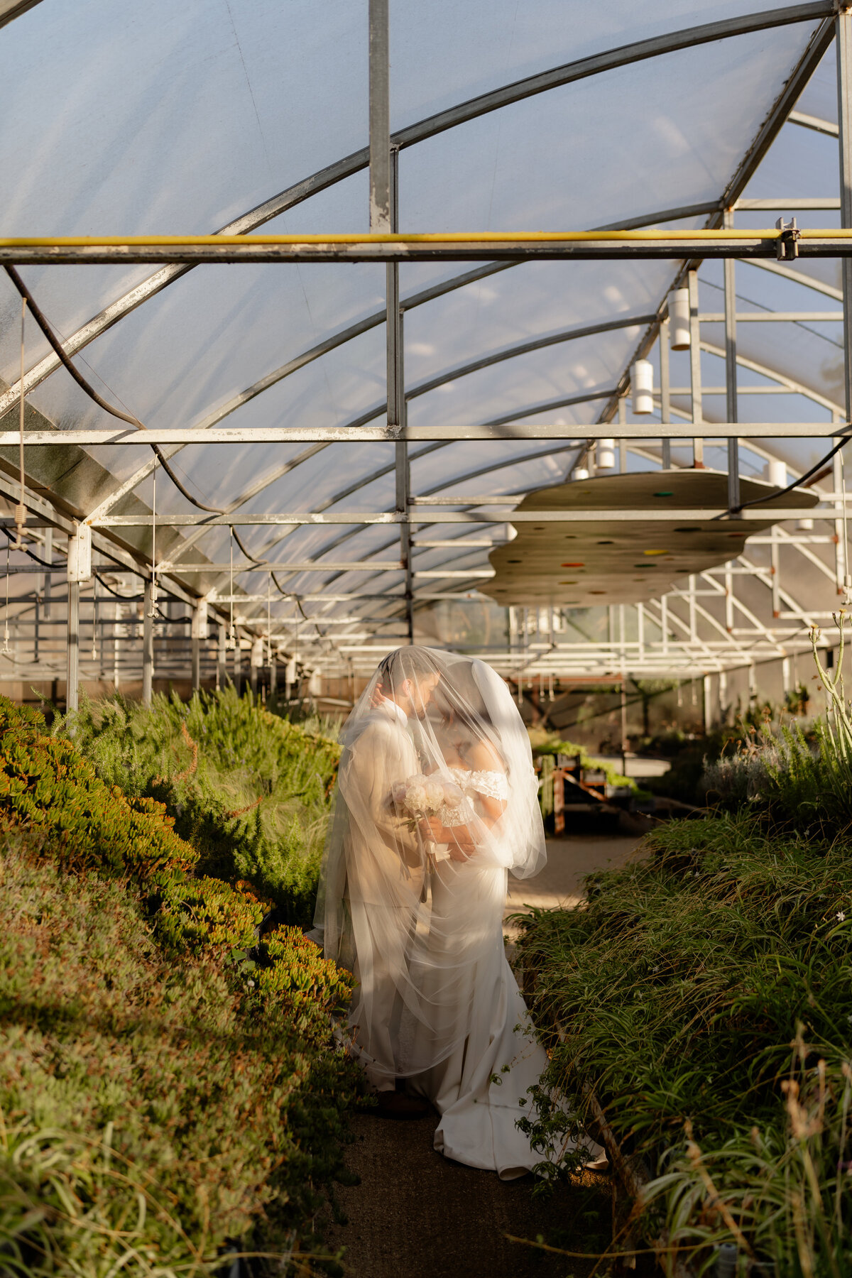 Destination Wedding Photographer, Valle De Guadalupe Wedding, Stephanie&Kurt-592