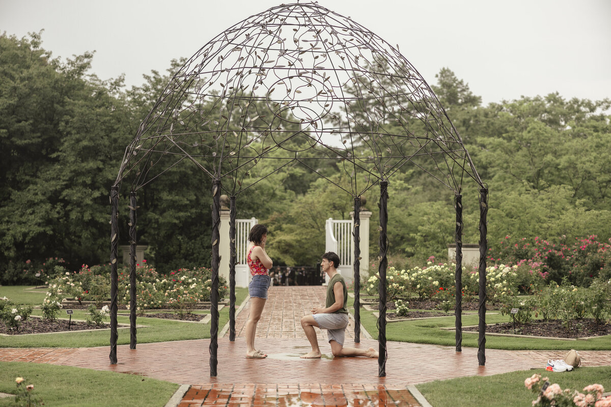PSF_Jackson and Annie_Proposal__2