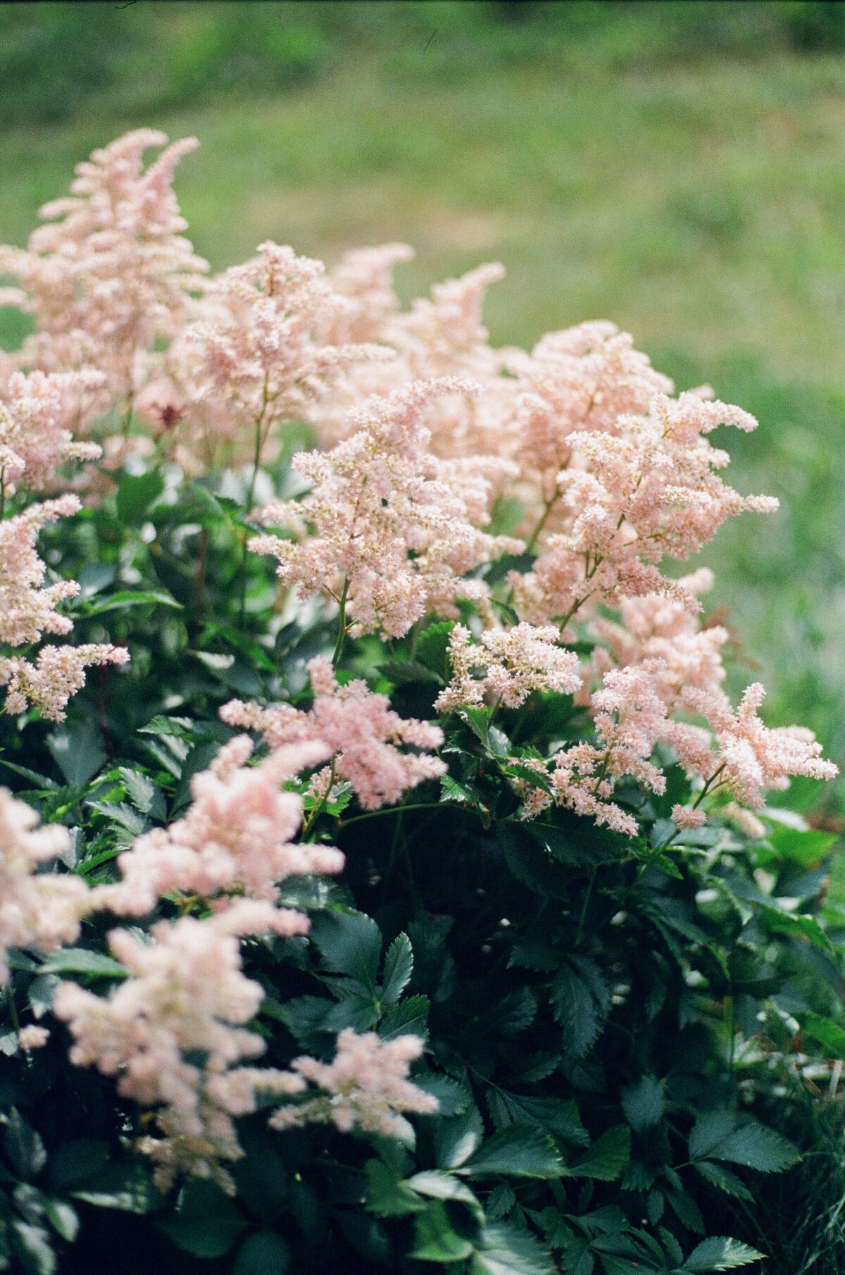 new_england_wedding_photos5