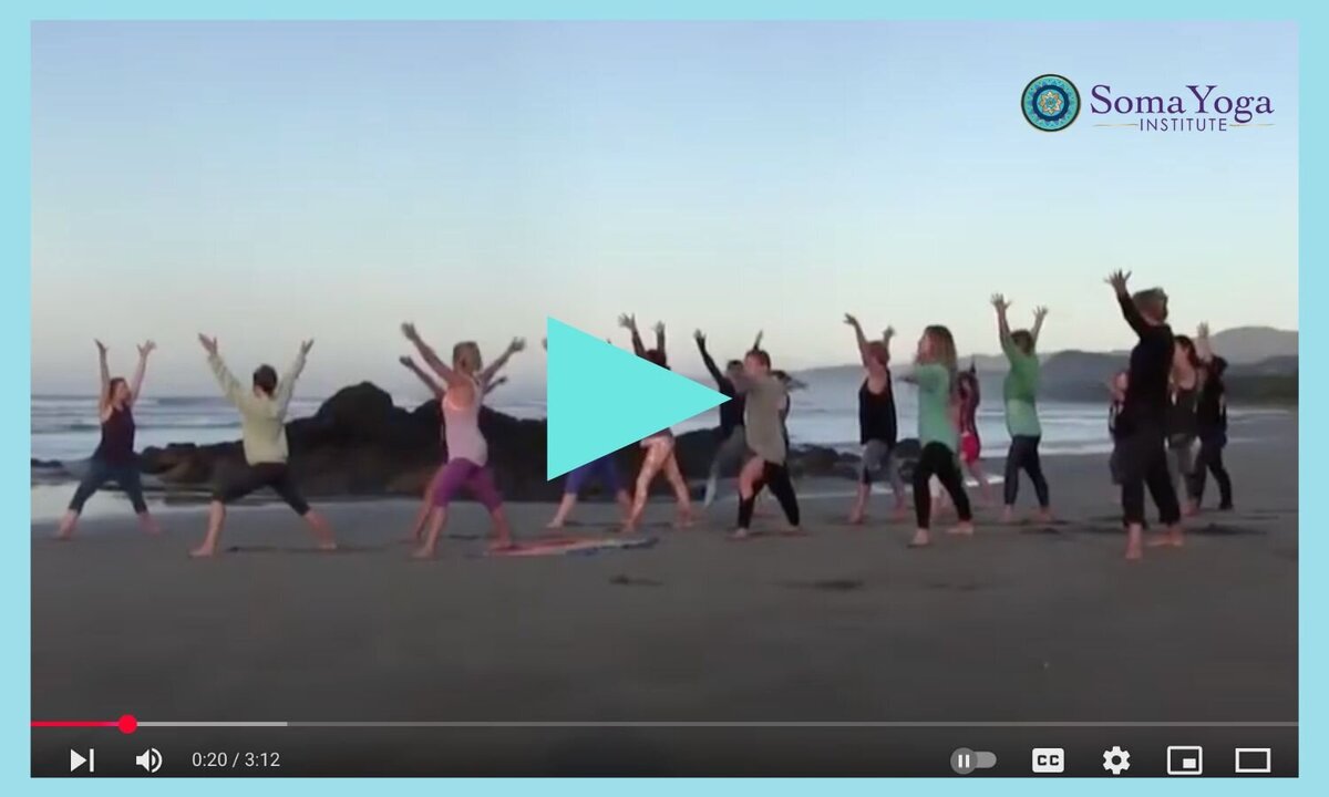Costa Rica yoga teacher training students testimonial video